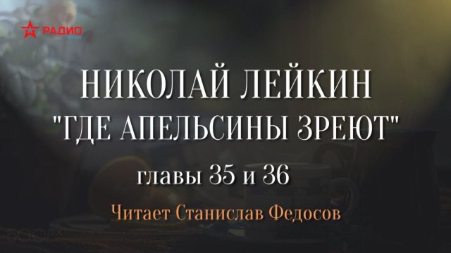 Николай Лейкин. «Где апельсины зреют». Аудиокнига. Главы 35 - 36