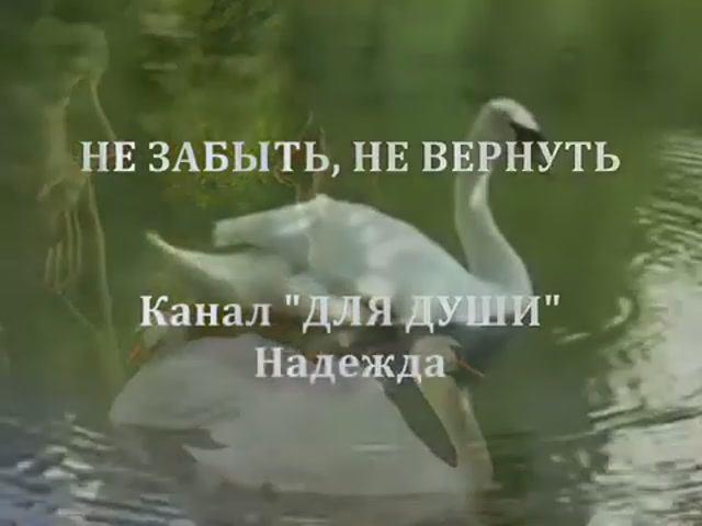 Не забыть , не вернуть - поёт ЮРИЙ СТАРЦЕВ (стихи Надежды Шубиной)