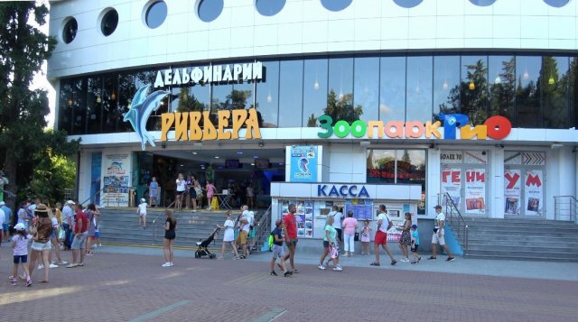 Сочинский Дельфинарий