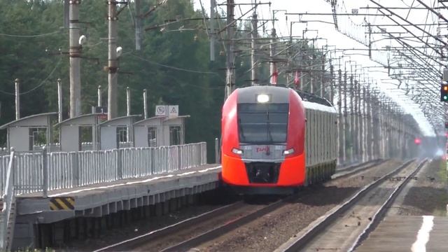 Самые быстрые поезда России - "Сапсаны" на скорости 200 км/ч! "Ласточки" на скоростях 140-160 км/ч!