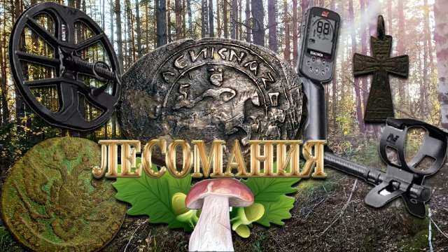 КОП В ЛЕСУ | КЛАДОИСКАТЕЛИ В ПОИСКАХ МОНЕТ И КЛАДОВ