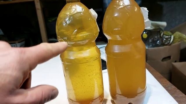 Осветление вина, очень просто, быстро, экологично