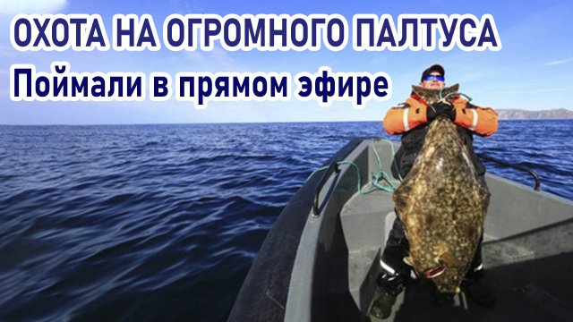 Ловля палтуса. Проверенные способ ловли