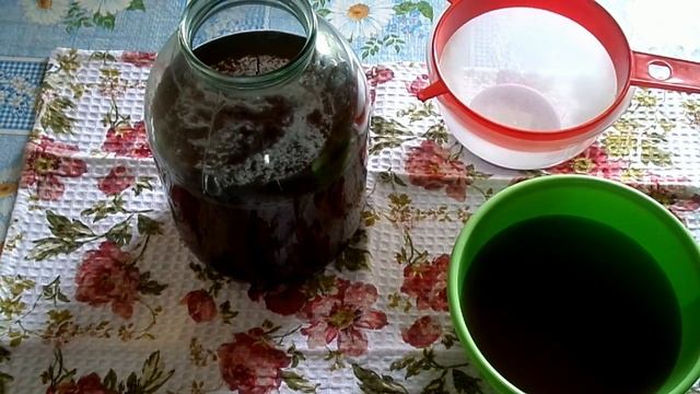 Чайный гриб,Комбуча!Уход за молодым грибом,полезные советы