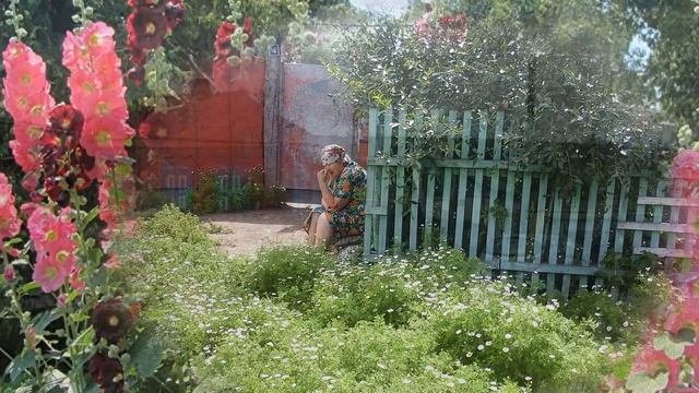 Мамины цветы   Автор стиха-Анна Гетьман.Исп.,-Людмила Хацко(Сергеева).Автор видео-Елена Серикова.