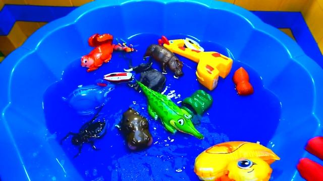 Обучение для самых маленьких|Бросаем в воду игрушки|Названия животных|Учим названия фруктов и овоще
