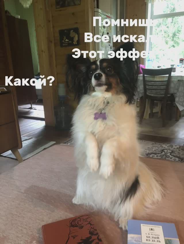Эффект