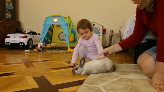 Девочка по имени Алиса | Видео для канала Vredina Life