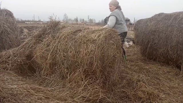 ТЯЖЕЛАЯ жизнь в селе женская доля благодарю за просмотры.26 октября 2021 г.mp4