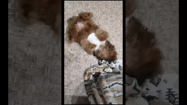 Доброе утро! Хочу играть))