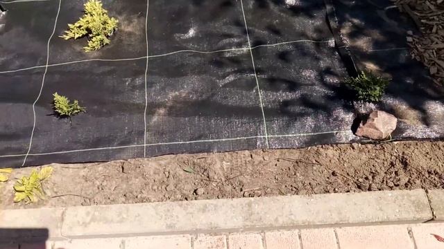 Переделка цветника, мульчирование щепой