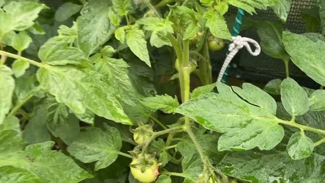 Почему я должна скучать по северу если …/Переезд на юг/Life in Russia