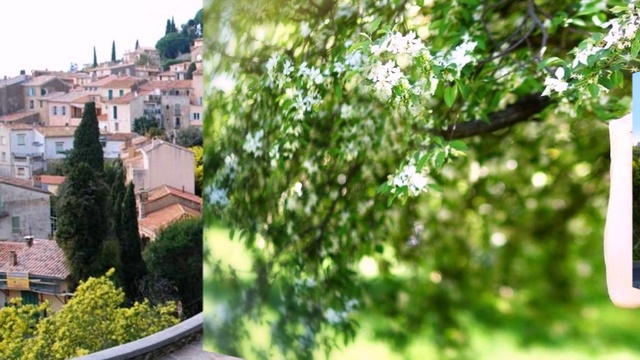 Арно Бабаджанян - Кружит голову мимоза