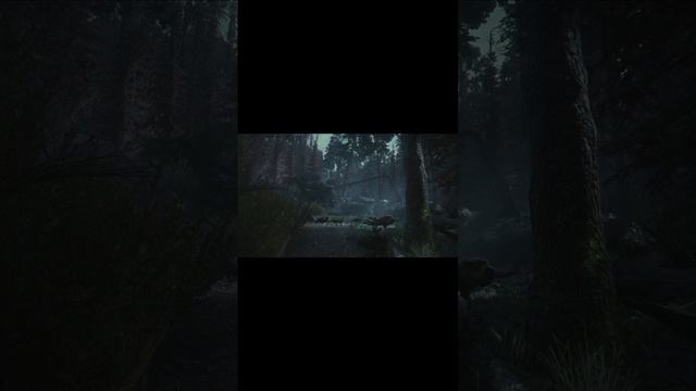 освобождение часть 3