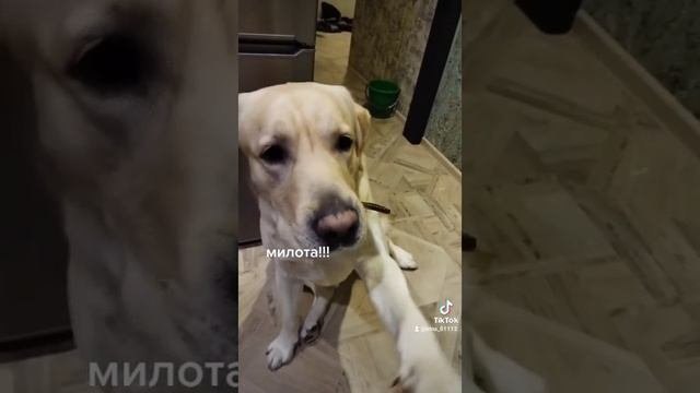 Ленчик.