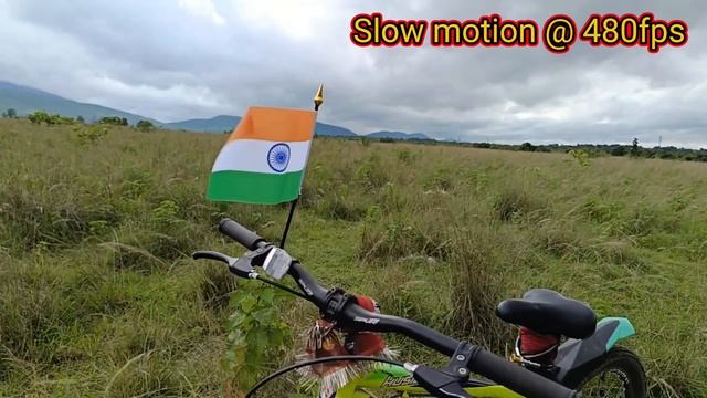 OPPO RENO 8 5G CAMERA QUALITY TESTING