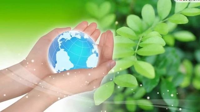 Рациональное природопользование и устойчивое развитие