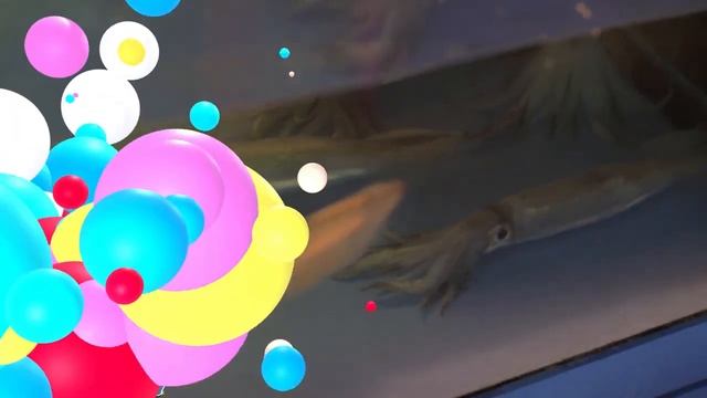 ПОДВОДНЫЙ МИР +Морские обитатели +Развивающие Познавательные Видео Детям+Морские Животные для дете
