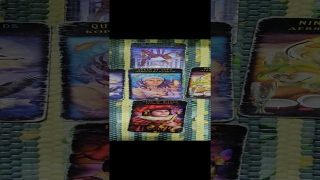 1000082453.mp4
