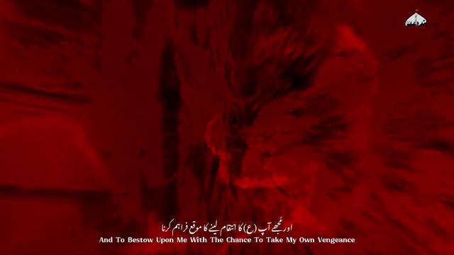 Ziyarat Ashura - Ali Fani | Imam Hussain #arabic #dua #ziyarat #زيارة_عاشوراء #imamhussain #4k