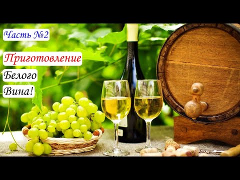 Приготовление Белого вина. Вино из Цитронного Магарача. Часть №2