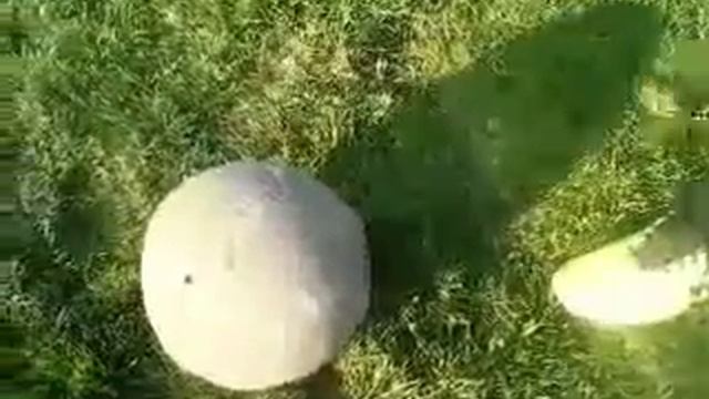 Как бить в девятку,кручёным и обучение финтам.