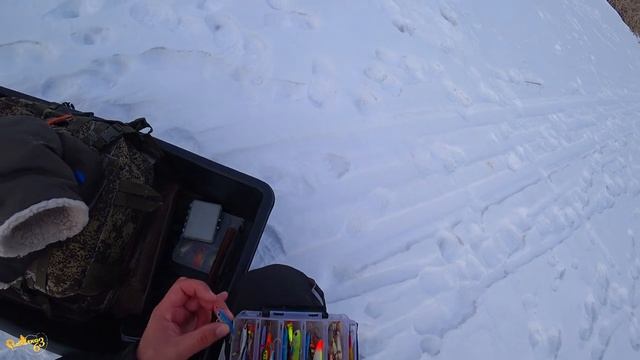 Вот он выход щуки. Ловля щуки в глухозимье