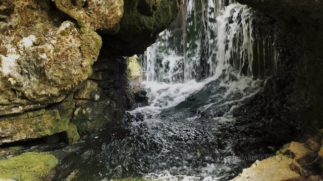 Клип невесты. Красиво очень в деревне свадьба.