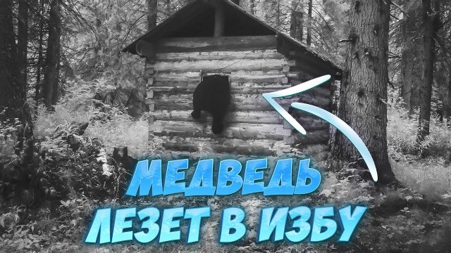 МЕДВЕДЬ ПРЁТ В ИЗБУ! НАЧИНАЮ ОХОТУ. ОТКРЫТИЕ 2023