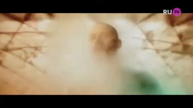 в голове моей туманы