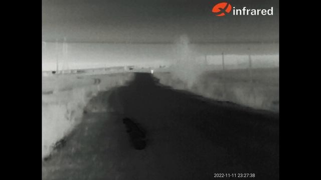 Бюджетный тепловизор Xinfrared T2 Pro. Тест на дальность обнаружения. Поиск подранка на охоте.