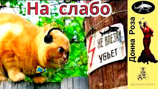 Телефонное мошенничество. Автор - Наталья Рамирес.