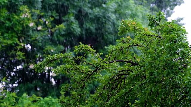 Расслабляющая фортепианная музыка и мягкий дождь музыка для сна, лечебная музыка, спокойная музыка