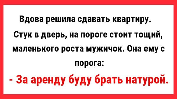 За аренду буду брать натурой... Сборник Свежих Анекдотов! Прикольные Анекдоты. Юмор!