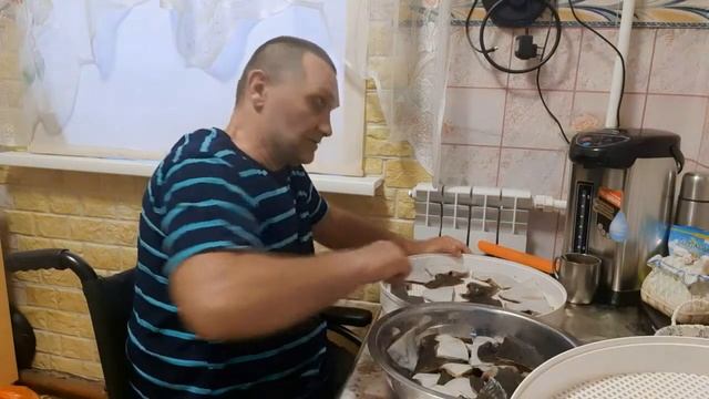 Камбала. Сушим камбалу , на электросушилки.