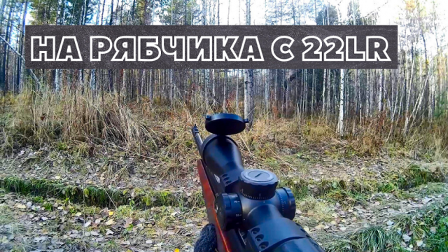 Повезло в этот раз! Охота на рябчика с мелкашкой