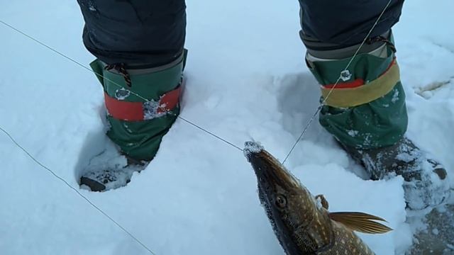 Зимняя рыбалка на Печоре 2022