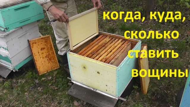 расширение семей 27 апреля перед похолоданием