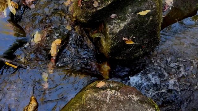 Не можешь уснуть? Засыпай, слушая Божье Слово | Горный ручей | Relaxing