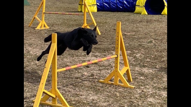 First competition