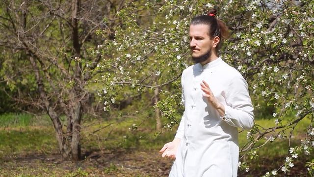 18 форм тайцзи | Цигун | Leo Somna | Tai Chi 18 forms | #цигун #qigong #taichi