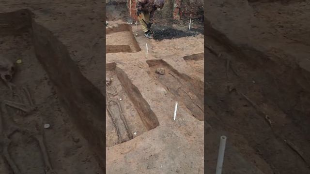 Археологические раскопки.