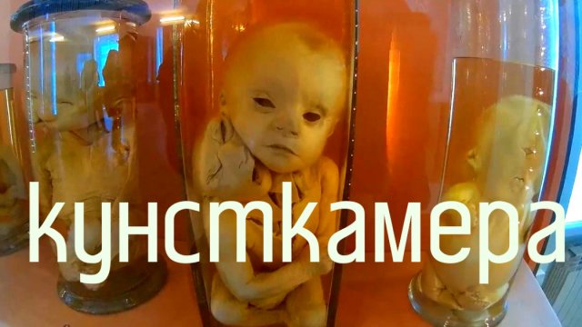 Ужасы кунсткамеры Санкт- Петербург