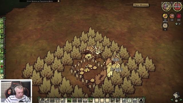 ФЕРМА ИНДЕЕК + ЗАЩИТА КУСТОВ - Don't Starve Together/ DST/ ДСТ ГАЙД