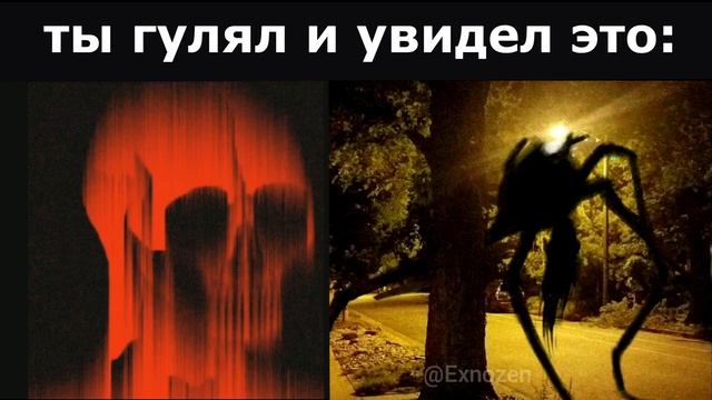 Ты гулял и увидел это_