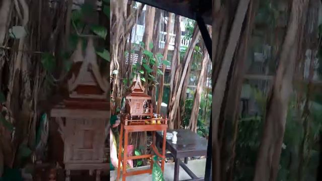 Splendid resort 3* Паттайя