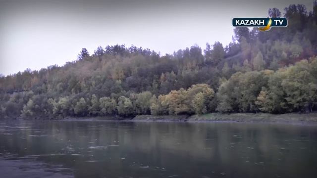 Охота на медведя на Камчатке