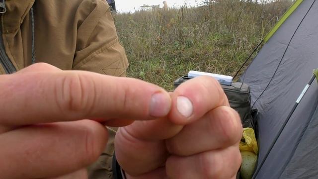 Лучшая презентация «Тигрового ореха» для карповой ловли