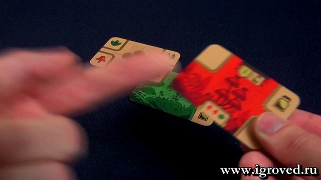 Кодекс природы. Обзор настольной игры от Игроведа