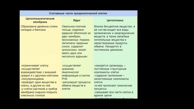 Наука - биология ▶ Биология для начинающих.